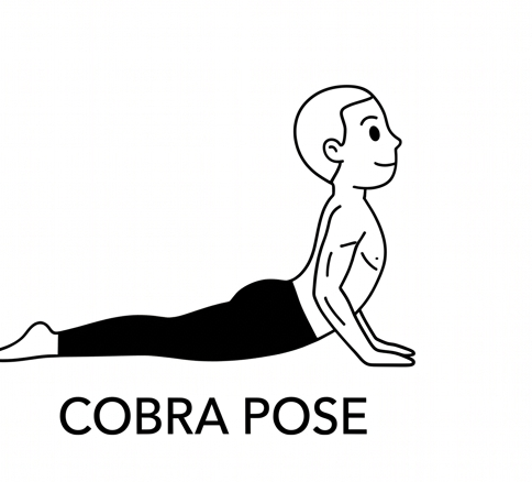 Visual sketch of Cobra Pose (Bhujangasana)